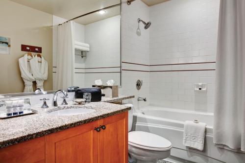 惠斯勒惠斯勒山泛太平洋度假村的浴室配有盥洗盆、卫生间和浴缸。