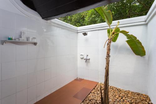 戈德亚姆温莎城堡酒店的浴室设有棕榈树淋浴