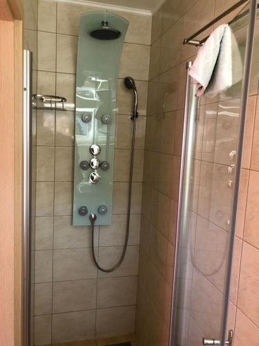 马里博尔Perfect Apartma - massages的带淋浴头和淋浴的浴室