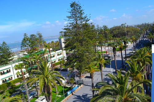 杰迪代Hotel Centre Ville的棕榈树城市的空中景观