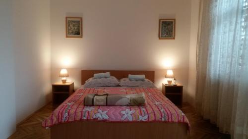 索科矿泉村Smeštaj Ognjanović的一间卧室配有一张大床和两盏灯