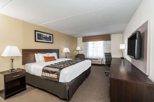 博林格林Wingate by Wyndham Bowling Green的配有一张床和一台平面电视的酒店客房