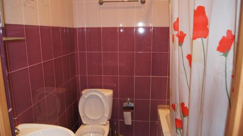 皮聪达Hotel Sharmat的一间带卫生间的浴室和紫色瓷砖墙