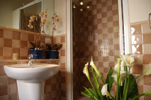 阿尔盖罗Bogamarì的浴室设有水槽和盆栽淋浴。