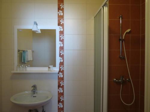 Motel Divjak的一间浴室