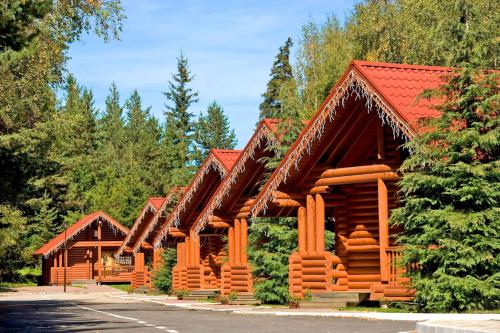 波罗维茨雅斯雷贝茨健康温泉酒店的一组红色屋顶的木制建筑
