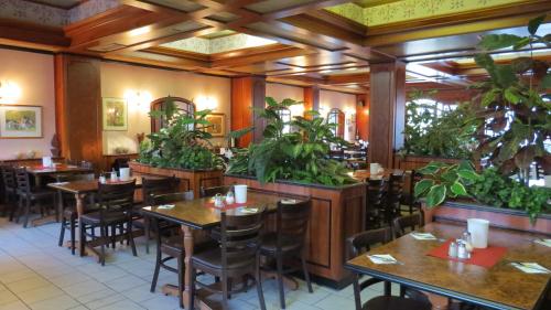 鲁斯特瑞伯斯道科酒店的一间设有桌椅的餐厅,种植了植物