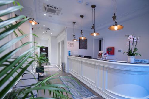 布德瓦麦捷斯提科酒店的一间有盆栽植物和灯的酒吧