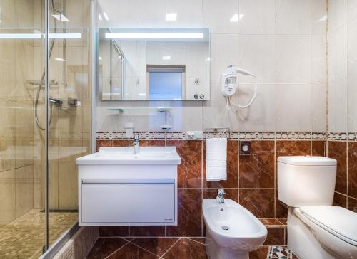 维尔纽斯泽梅特斯酒店的一间带水槽、卫生间和镜子的浴室