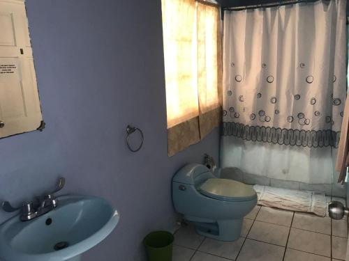 卡斯特里Marvey's Place的浴室设有蓝色的卫生间和水槽。