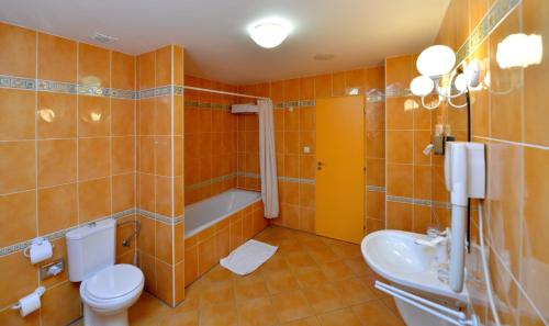 捷克布杰约维采德沃夏克酒店的浴室配有卫生间、盥洗盆和浴缸。