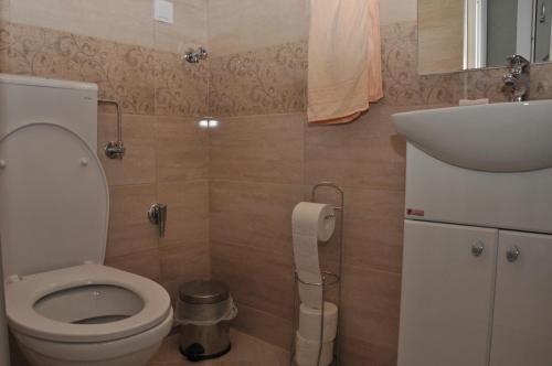 蒂瓦特Apartments Miana的一间带卫生间和水槽的小浴室