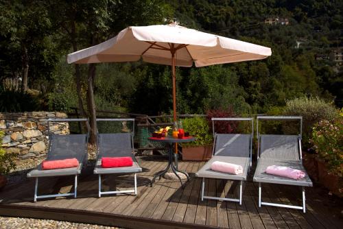 CarascoVilla Paggi Country House的木制甲板上的两把椅子和一把遮阳伞