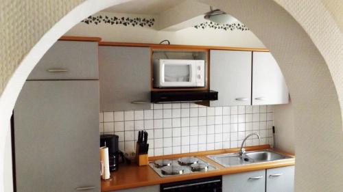 摩泽尔河畔的泽尔Weingut Day的厨房配有水槽和微波炉
