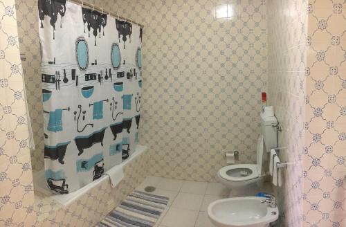 阿尔沃尔Apartamento T1 Quinta Nova - Alvor的一间带卫生间和淋浴帘的浴室
