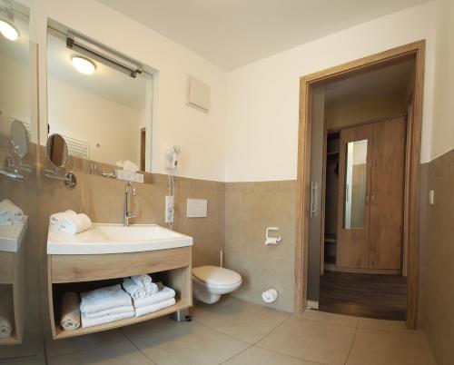 希尔波尔特施泰因博格尔宾馆的一间带水槽、卫生间和镜子的浴室
