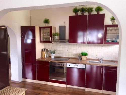 坎普-博尔恩霍芬Villa Christina的厨房配有紫色橱柜和水槽