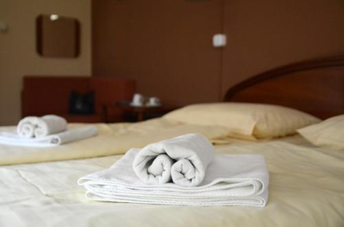 莫雄马扎尔古堡米纳瓦酒店 的相册照片