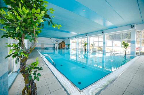 斯派特克维瑟康普克斯贝斯基德酒店的大楼内的大型游泳池