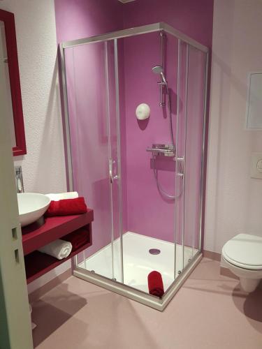 圣谢利达普谢Hôtel Jeanne D'Arc的浴室设有玻璃淋浴间和卫生间