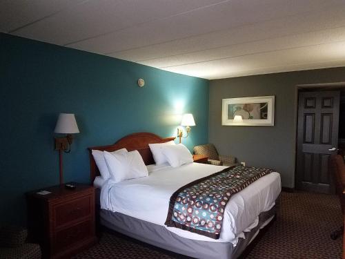 圣路易斯圣路易斯市区美国最有价值旅馆的酒店客房,设有床铺和蓝色的墙壁