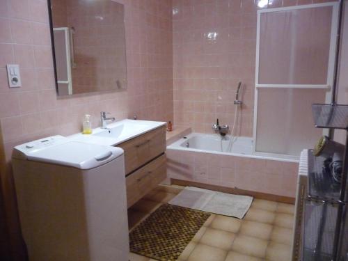 塞尔奈Appartement Sur La Route des Vins d'Alsace的一间带水槽、浴缸和卫生间的浴室