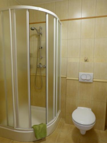 克雷尼察Apartament Grażyna的带淋浴和卫生间的浴室。