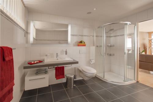 采尔马特梅里克高级公寓的带淋浴、卫生间和盥洗盆的浴室