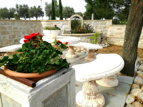 坎波马里诺Albadido的花园中一组白色的桌子和鲜花