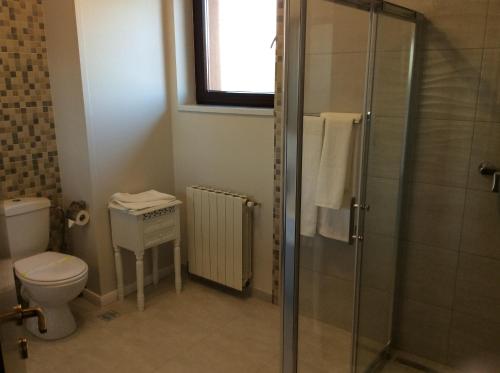 UrziceniVila Royal的一间带卫生间和玻璃淋浴间的浴室