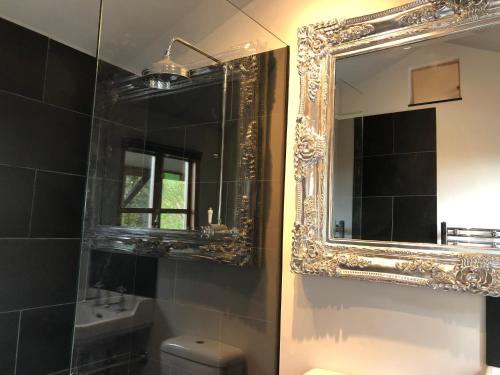 LlandeglaFaraway Follies的一间带镜子和水槽的浴室