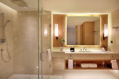 库塔巴厘岛大使酒店的带淋浴、盥洗盆和镜子的浴室