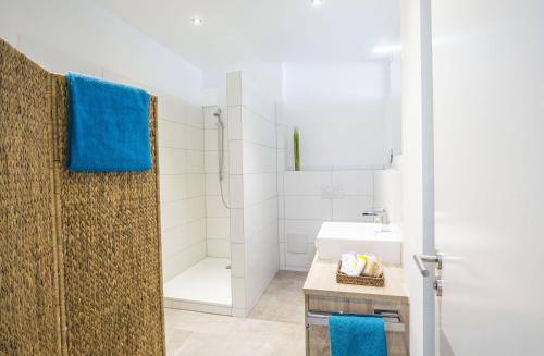 阿尔布斯塔特Apartments by Intermezzo的带淋浴和盥洗盆的浴室
