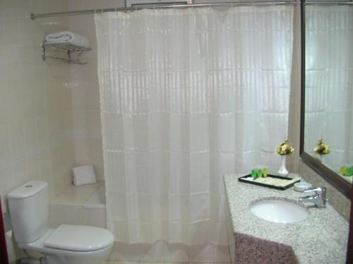 安曼阿尔萨拉亚酒店的浴室设有卫生间、水槽和淋浴帘