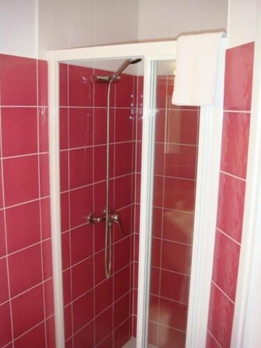 拉纳斯Auberge De Peyrebeille的浴室设有红色瓷砖和淋浴。