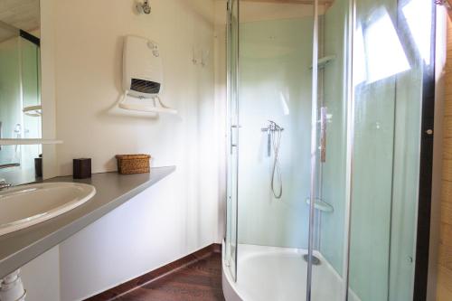 拉巴斯蒂德克莱朗斯Les Chalets de Pierretoun的一间带玻璃淋浴和水槽的浴室