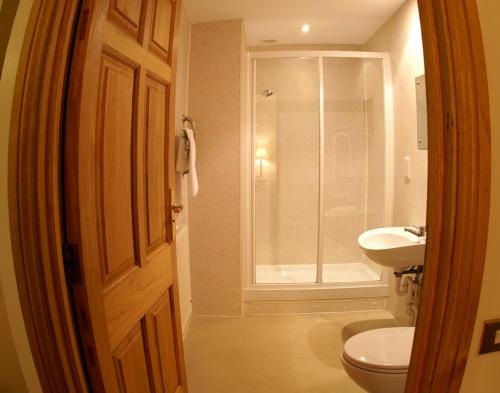利德尼The George Inn & Millingbrook Lodge Ltd的带淋浴、卫生间和盥洗盆的浴室