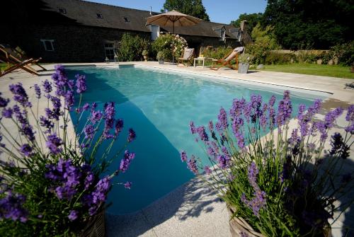 朗巴勒唯吾庄园酒店的一座花紫色的游泳池,位于房子旁边