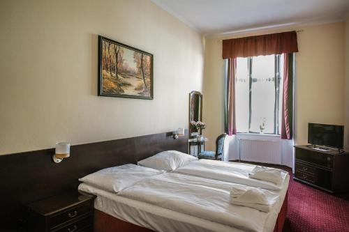 比尔森Hotel U Salzmannů的一间卧室设有一张床和一个窗口