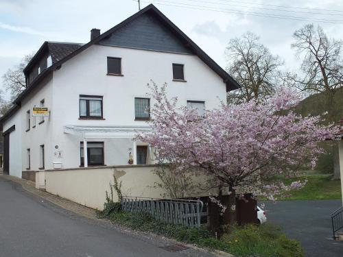 MindenGästehaus Neises的前面有一棵开花的树的白色房子