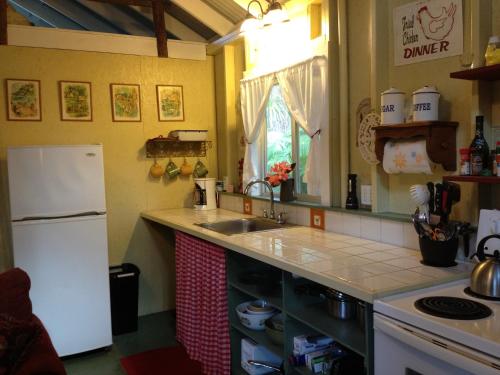 卡森卡洛克山脉小屋酒店的厨房或小厨房