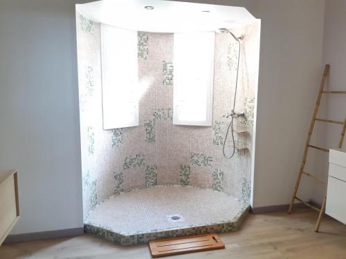 德赛Domaine Choco Vanille的带淋浴和浴帘的浴室