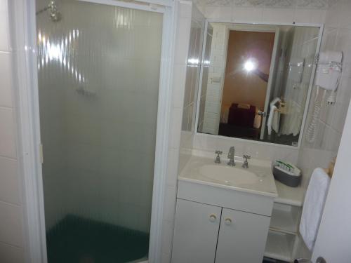 达博阿特拉斯汽车旅馆的浴室配有盥洗盆和带镜子的淋浴
