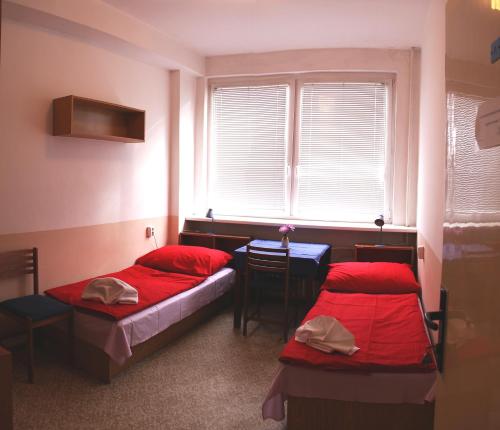 布拉格莫德拉旅馆的配有桌子和窗户的客房内的两张床