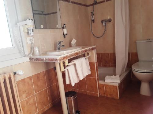 埃维昂莱班依云快车 - 总站酒店的一间带水槽、卫生间和淋浴的浴室