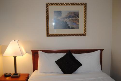 埃德蒙顿伊科诺米酒店的卧室配有一张挂在墙上的床铺