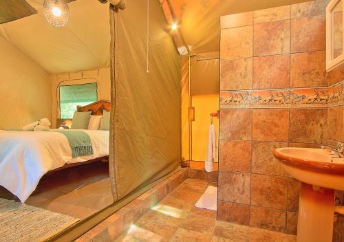 雾观克鲁格冒险旅舍的配有床、淋浴和盥洗盆的浴室