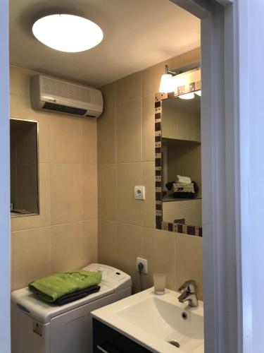 杜布罗夫尼克Elegant Apartment Leila的一间带水槽、卫生间和镜子的浴室