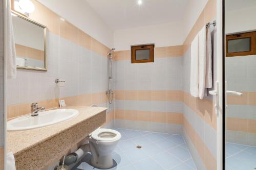 Medven西尼亚维尔生态酒店的一间带水槽和卫生间的浴室
