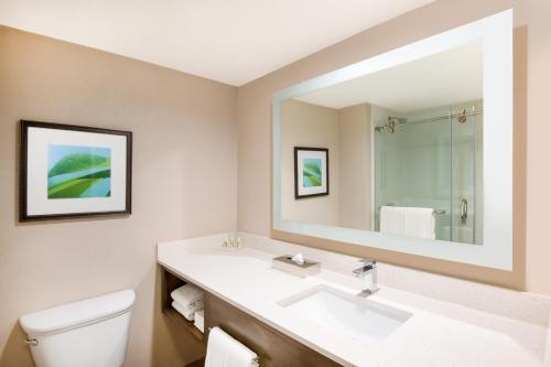 棕榈滩阿鲁巴岛度假村 - 海滩度假酒店及赌场全包的一间带水槽和镜子的浴室